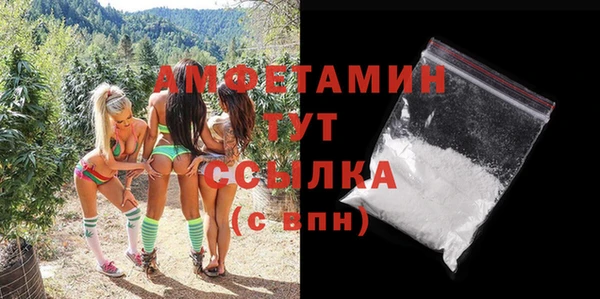 mix Богородицк